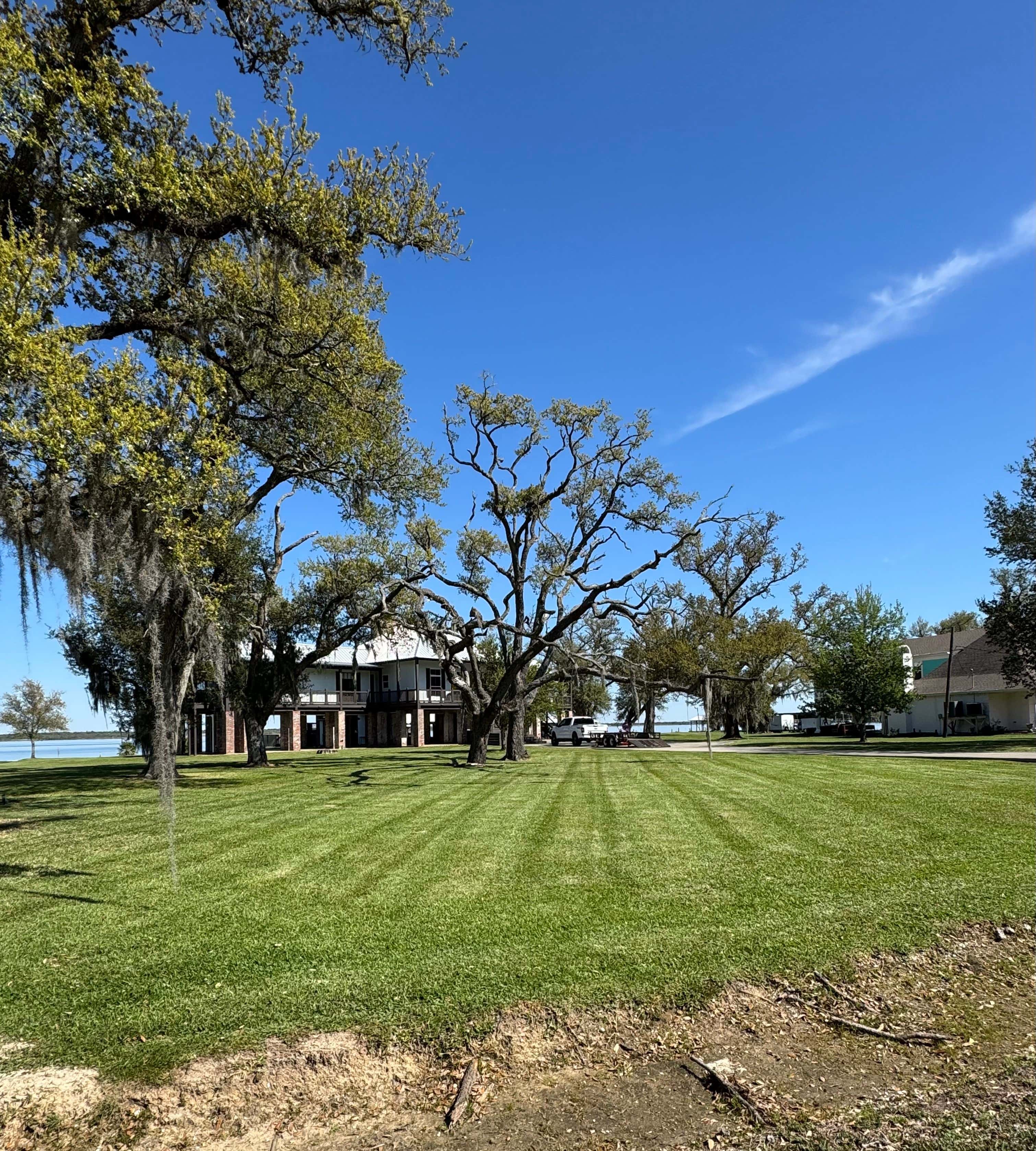 Hero image for Mays Lawn Maintenance